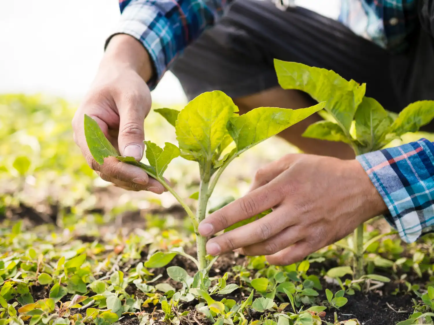 Compromiso con la Excelencia